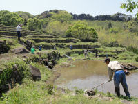 棚田草刈り作業 棚田草刈り作業