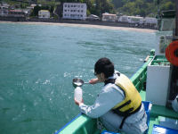 海水浴場水質検査 海水浴場水質検査