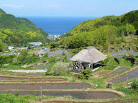 石部棚田 石部棚田
