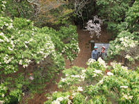 長九郎山山頂 長九郎山山頂