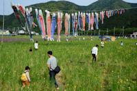 那賀花畑花摘み