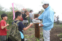 高通山つつじまつり