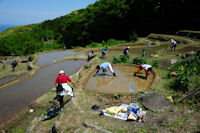 石部棚田田植祭