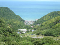 今日の石部棚田