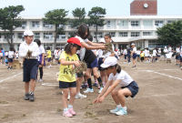 松崎小学校校庭芝生化