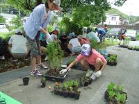 新世紀松崎三聖塾とみどりの少年団合同の花植えボランティア活動