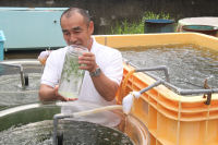 花とロマンの里研究会事業報告会