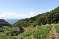 石部の棚田