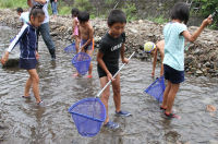 鮎のつかみどり