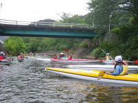 昨日の話題、海洋クラブ活動 昨日の話題、海洋クラブ活動
