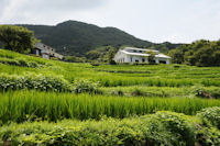 石部の棚田 石部の棚田