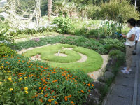 第19回街角の花コンクール 第19回街角の花コンクール