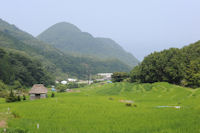 石部の棚田 石部の棚田