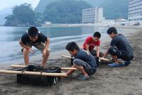 海岸清掃 海岸清掃