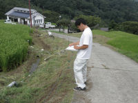 富士常葉大学インターンシップ実習生による棚田水路調査 富士常葉大学インターンシップ実習生による棚田水路調査