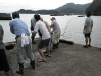 松崎海岸片付け 松崎海岸片付け