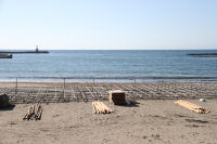 伊豆半島太鼓フェスティバル 伊豆半島太鼓フェスティバル