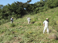 石部の棚田の草刈り 石部の棚田の草刈り