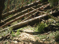 長九郎山遊歩道 長九郎山遊歩道