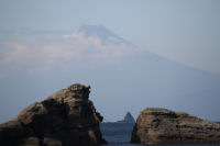 雲見海岸からの富士山 雲見海岸からの富士山