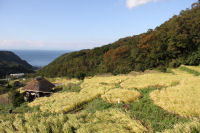 石部の棚田 石部の棚田