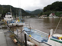 昨夜の雨で川は泥濁り 昨夜の雨で川は泥濁り