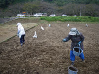 那賀耕地種蒔き 那賀耕地種蒔き