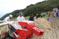 石部の棚田 石部の棚田