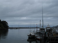 今日の松崎港 今日の松崎港