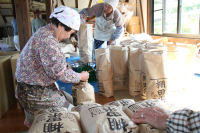 棚田米発送作業 棚田米発送作業