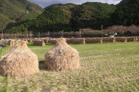 那賀耕地 那賀耕地