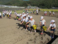 種蒔き体験 種蒔き体験