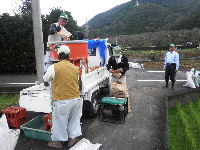 那賀花畑種まきが始まりました