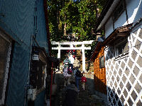 岩科めぐりウォーキング