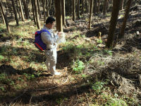 長九郎遊歩道点検