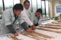 自然薯品評会審査