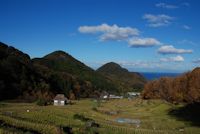 今日の石部棚田 今日の石部棚田