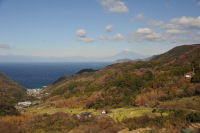 石部の棚田 石部の棚田