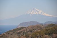 今日の石部棚田