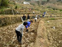 棚田百笑くらぶの「畦切り」