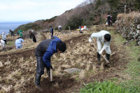 富士常葉棚田アゼ切り作業