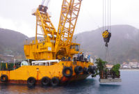 間伐材を使った漁礁設置