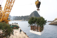 間伐材を使った魚礁設置