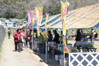 田んぼをつかった花畑と売店