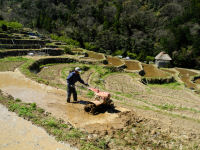 石部の棚田