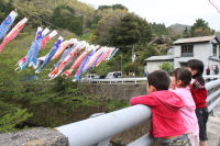 八木山地区川渡しのこいのぼり