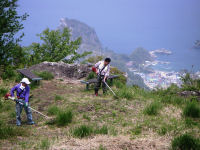 雲見地域おこしの会草刈り