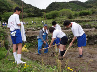 石部の棚田畦塗り作業