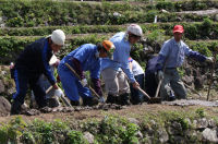 石部棚田畦塗り作業