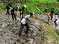 棚田百笑くらぶ畦塗り作業